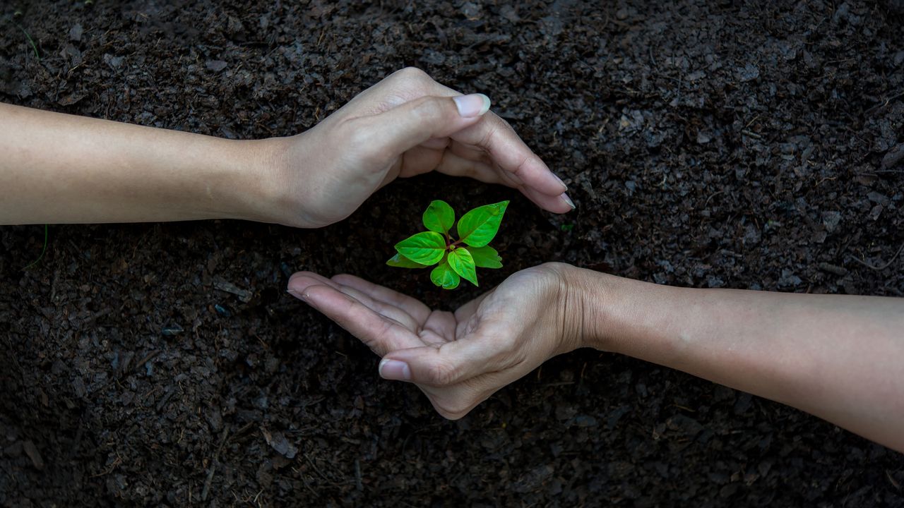 Overshoot day, In Italia abbiamo quasi finito le risorse del 2025