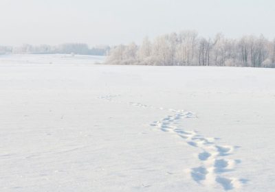 Catastrofe climatica globale di 8200 anni fa, come sono sopravvissuti gli esseri umani