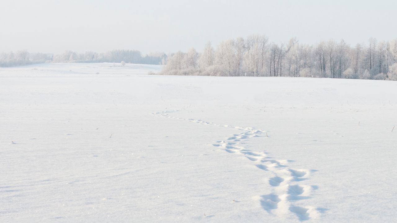 Catastrofe climatica globale di 8200 anni fa, come sono sopravvissuti gli esseri umani