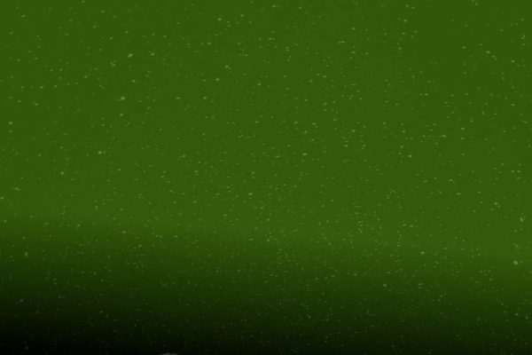 Aurora verde su Marte, il rover Perseverance della Nasa ha visto la prima