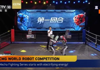 In Cina il primo incontro di kickboxing tra robot umanoidi. Ecco il match completo su YouTube
