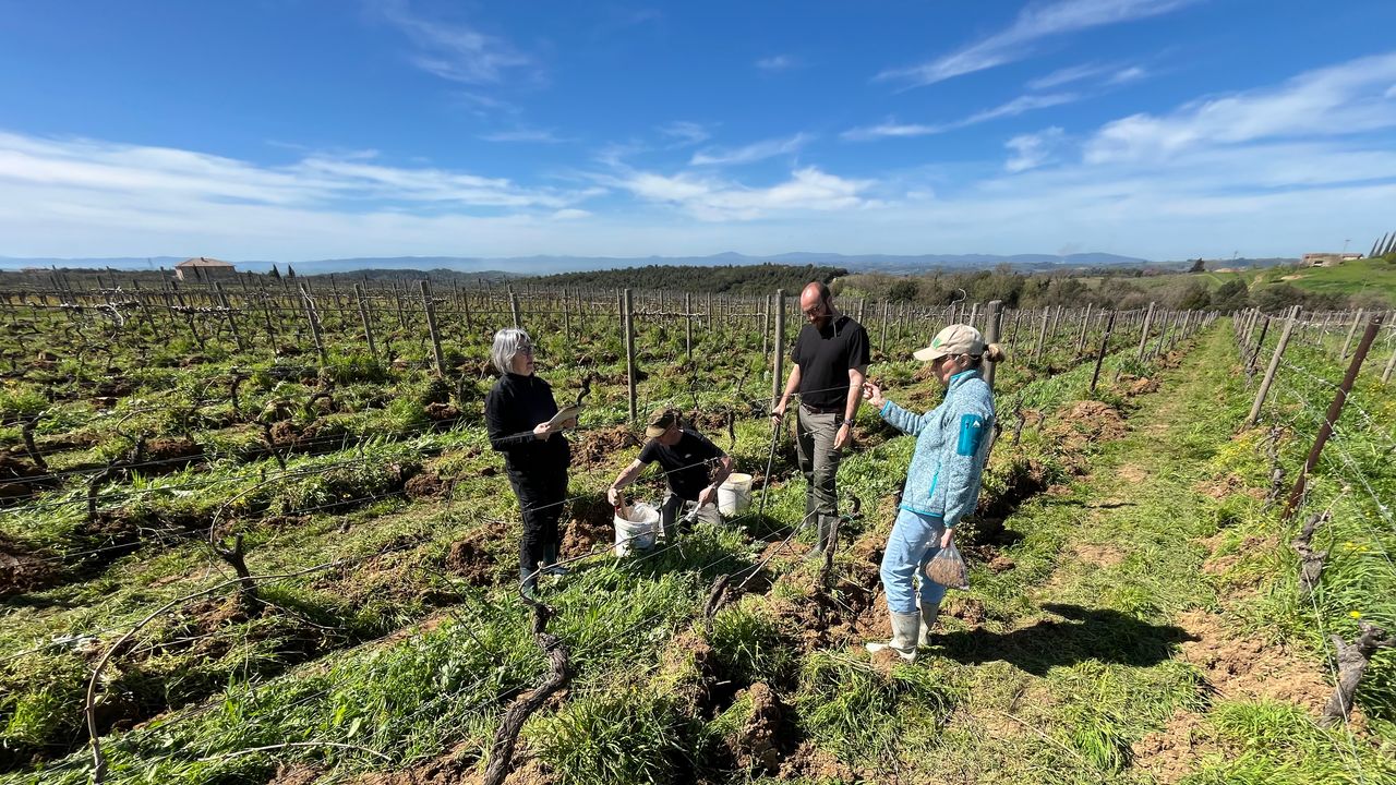 Cos’è il carbon farming che in Veneto e Toscana si usa per il vino