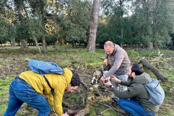 IA riconosce e conta cinghiali e daini in parco San Rossore – Notizie