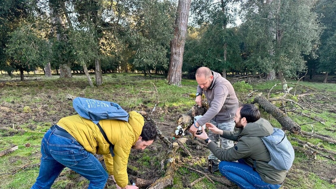 IA riconosce e conta cinghiali e daini in parco San Rossore – Notizie