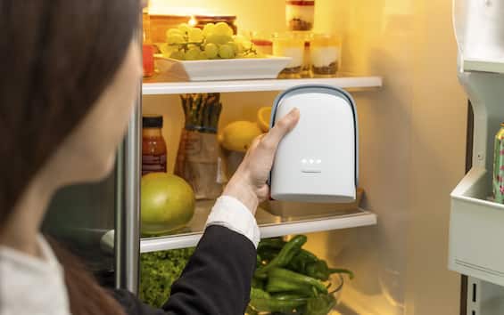 Vitesy rinnova il purificatore per frigorifero: ecco Shelfy Lite