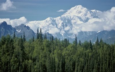 Alaska, emessa un’allerta meteo per il caldo per la prima volta nella storia