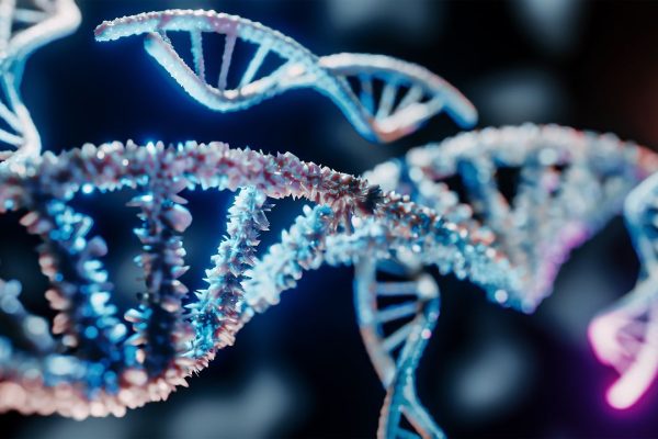 AlphaGenome, la nuova intelligenza artificiale di DeepMind ci aiuterà a capire come funzionano i nostri geni