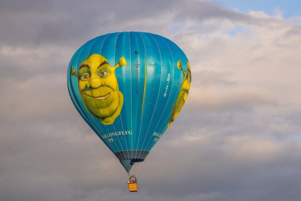 “Shrek? Un eroe post-moderno che continua ancora oggi a parlare di noi”, Danilo Petrassi racconta la sua Shrekologia