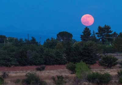 La Luna delle fragole sta arrivando, ecco quando e come vederla (e perché si chiama così)