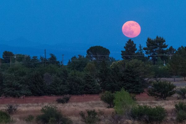 La Luna delle fragole sta arrivando, ecco quando e come vederla (e perché si chiama così)