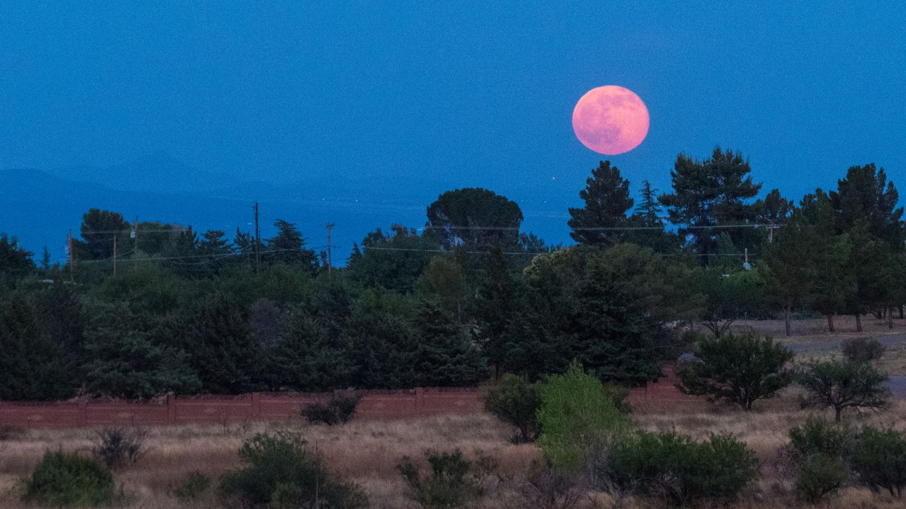 La Luna delle fragole sta arrivando, ecco quando e come vederla (e perché si chiama così)
