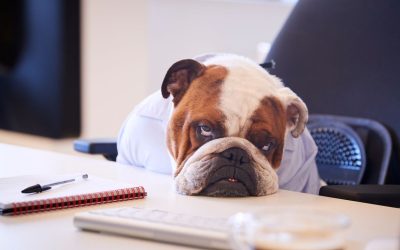 Noia, tutto quello che dovete sapere e perché non è sempre negativa