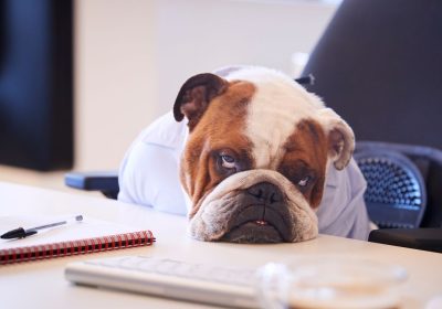 Noia, tutto quello che dovete sapere e perché non è sempre negativa