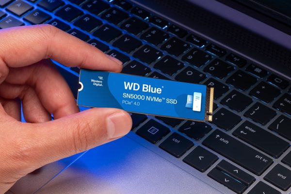Colpevole, ma non dovrà pagare: l'incredibile sentenza contro Western Digital