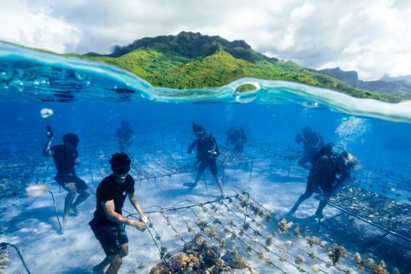Mediterraneo, si può navigare in modo sostenibile. Ce lo insegna la storia di Cassiopea