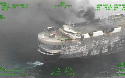 È affondata la nave andata a fuoco con 3.000 veicoli a bordo: chi sono i marchi più colpiti?