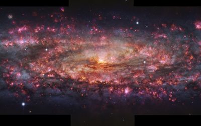 Grazie al Very Large Telescope di ESO è stata creata una bellissima immagine della Galassia dello Scultore