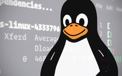 Linux in crisi di memoria: troppa VRAM manda il pinguino nel pallone