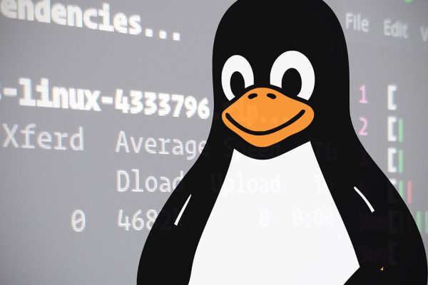 Linux in crisi di memoria: troppa VRAM manda il pinguino nel pallone