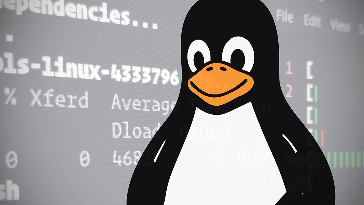 Linux in crisi di memoria: troppa VRAM manda il pinguino nel pallone