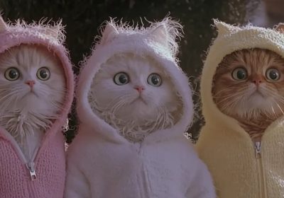 Midjourney V1, trasformare una foto in un video si può grazie all'AI