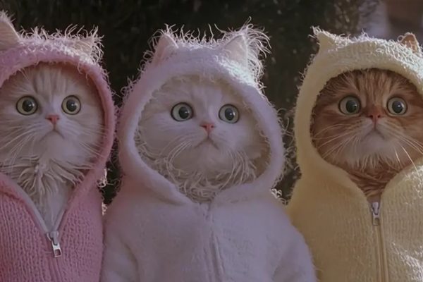 Midjourney V1, trasformare una foto in un video si può grazie all'AI