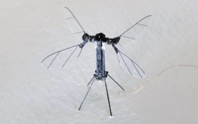Non è fantascienza: ecco il drone cinese che sembra una zanzara