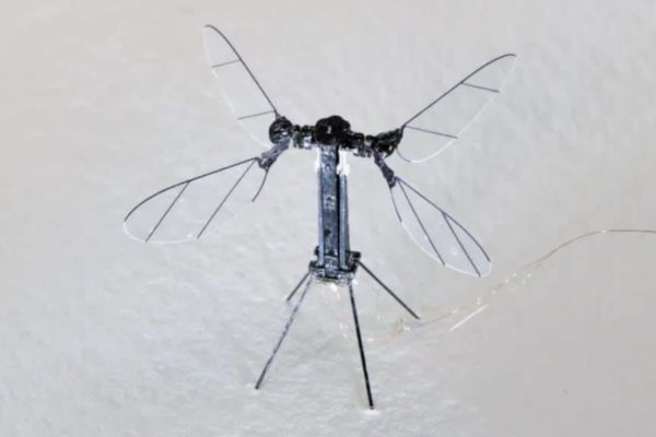 Non è fantascienza: ecco il drone cinese che sembra una zanzara