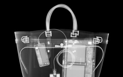 Viaggio negli Stati Uniti, come entrare nel paese senza compromettere la vostra privacy digitale