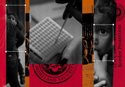 Stati Uniti, il dna dei bambini migranti finisce in un database di criminali