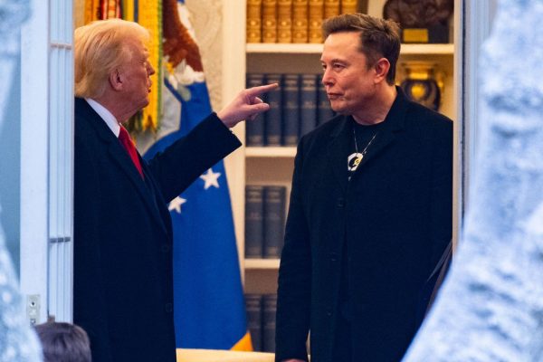 Musk contro Trump, c’è chi è convinto che sia tutta una messinscena