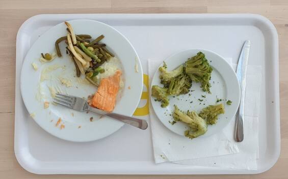 Contro lo spreco alimentare la soluzione della startup Behavix