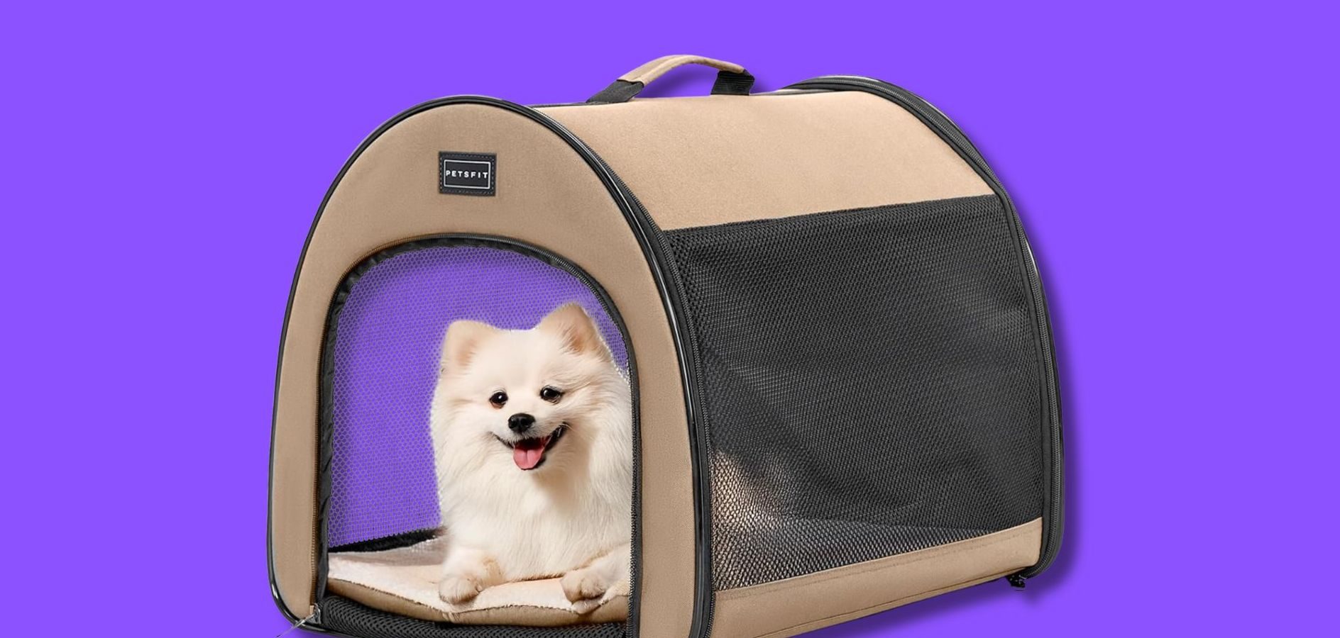 I migliori trasportini per cani e gatti per viaggiare con il tuo amico peloso (anche in aereo)