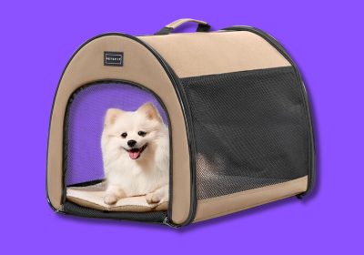 I migliori trasportini per cani e gatti per viaggiare con il tuo amico peloso (anche in aereo)