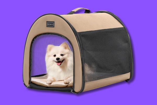 I migliori trasportini per cani e gatti per viaggiare con il tuo amico peloso (anche in aereo)