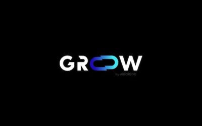 Groow, l’I.A. che vuole rivoluzionare le PMI italiane: come funziona e in cosa consiste