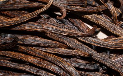 Vaniglia, per mettere al riparo la produzione dobbiamo tutelare le specie selvatiche della pianta dal cambiamenti del clima