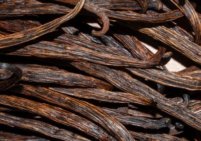 Vaniglia, per mettere al riparo la produzione dobbiamo tutelare le specie selvatiche della pianta dal cambiamenti del clima