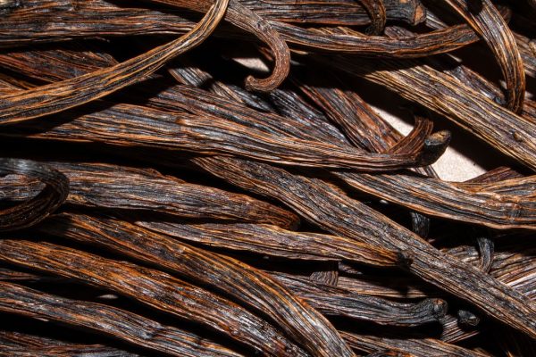 Vaniglia, per mettere al riparo la produzione dobbiamo tutelare le specie selvatiche della pianta dal cambiamenti del clima