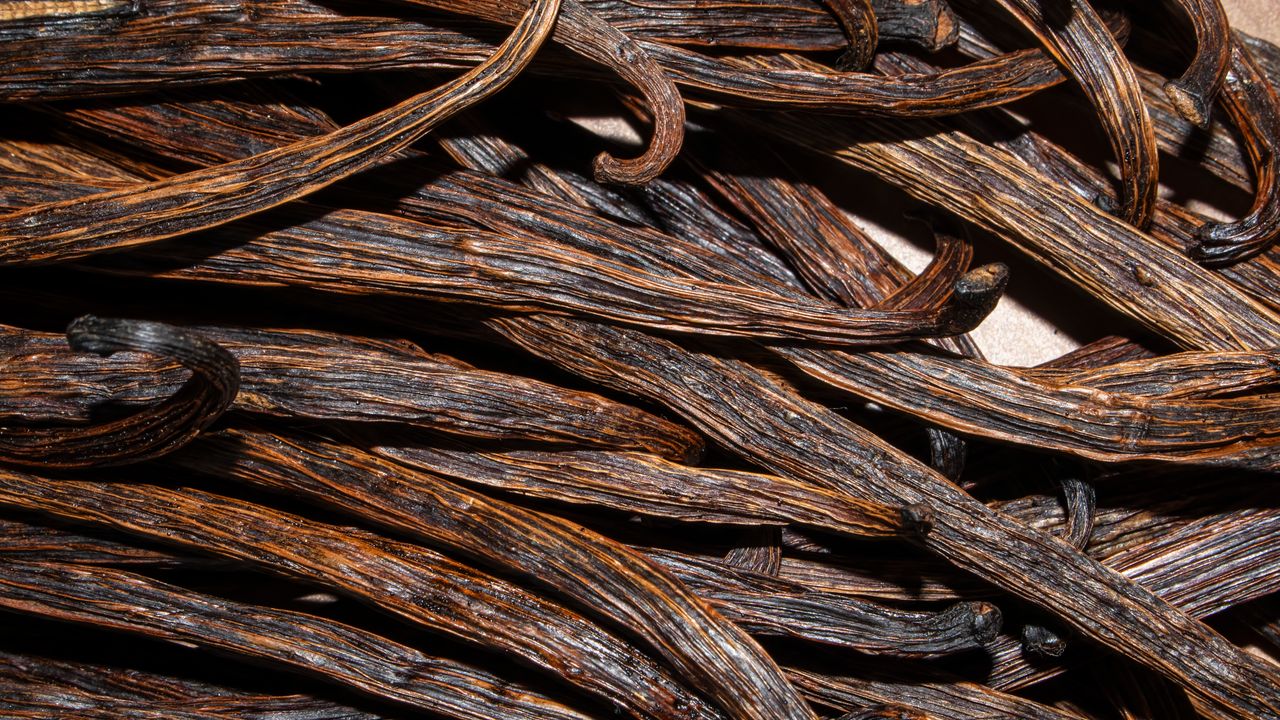 Vaniglia, per mettere al riparo la produzione dobbiamo tutelare le specie selvatiche della pianta dal cambiamenti del clima