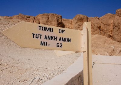 Il fungo ‘maledetto’ della tomba di Tutankhamon potrebbe essere una nuova arma contro i tumori