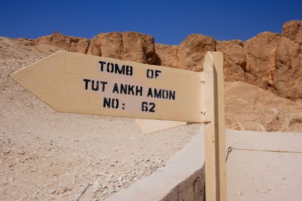 Il fungo ‘maledetto’ della tomba di Tutankhamon potrebbe essere una nuova arma contro i tumori