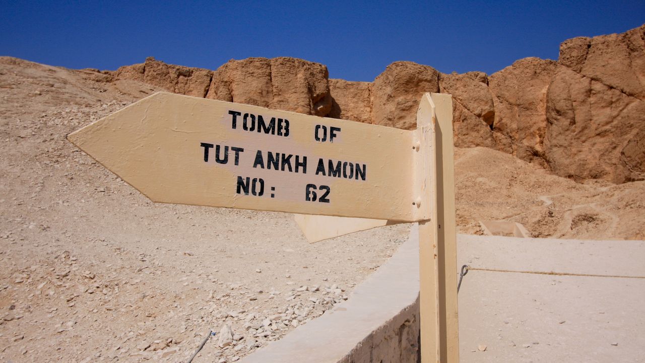 Il fungo ‘maledetto’ della tomba di Tutankhamon potrebbe essere una nuova arma contro i tumori