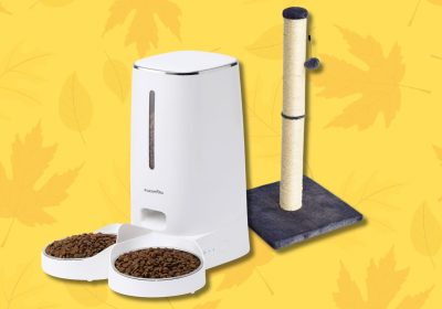 Prime Day di ottobre 2024, i migliori prodotti in offerta per i tuoi animali domestici