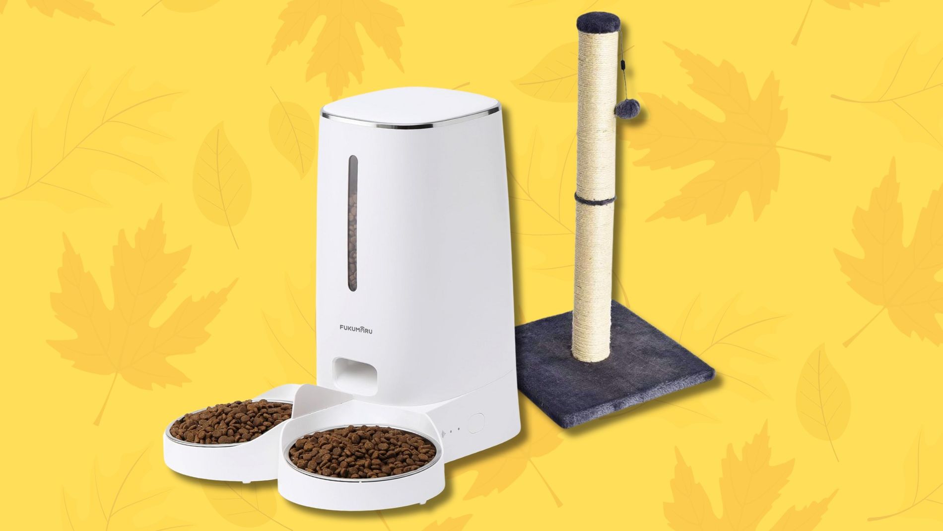 Prime Day di ottobre 2024, i migliori prodotti in offerta per i tuoi animali domestici