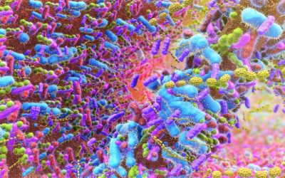 Microbioma intestinale, una banca della cacca per salvarlo