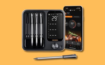 10 termometri da cucina per cuocere a puntino qualsiasi piatto
