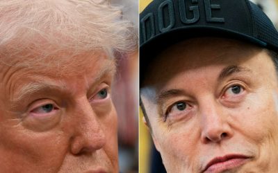 Nuovo partito di Musk, cosa sappiamo dell’America party