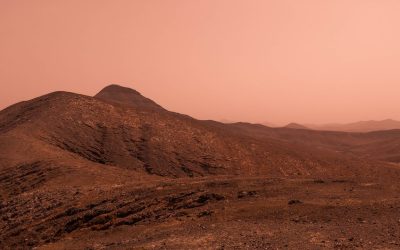 Marte, il rover Curiosity immortala un piccolo “corallo”, regalo delle tempeste sabbiose che rendono il pianeta invivibile
