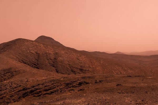 Marte, il rover Curiosity immortala un piccolo “corallo”, regalo delle tempeste sabbiose che rendono il pianeta invivibile